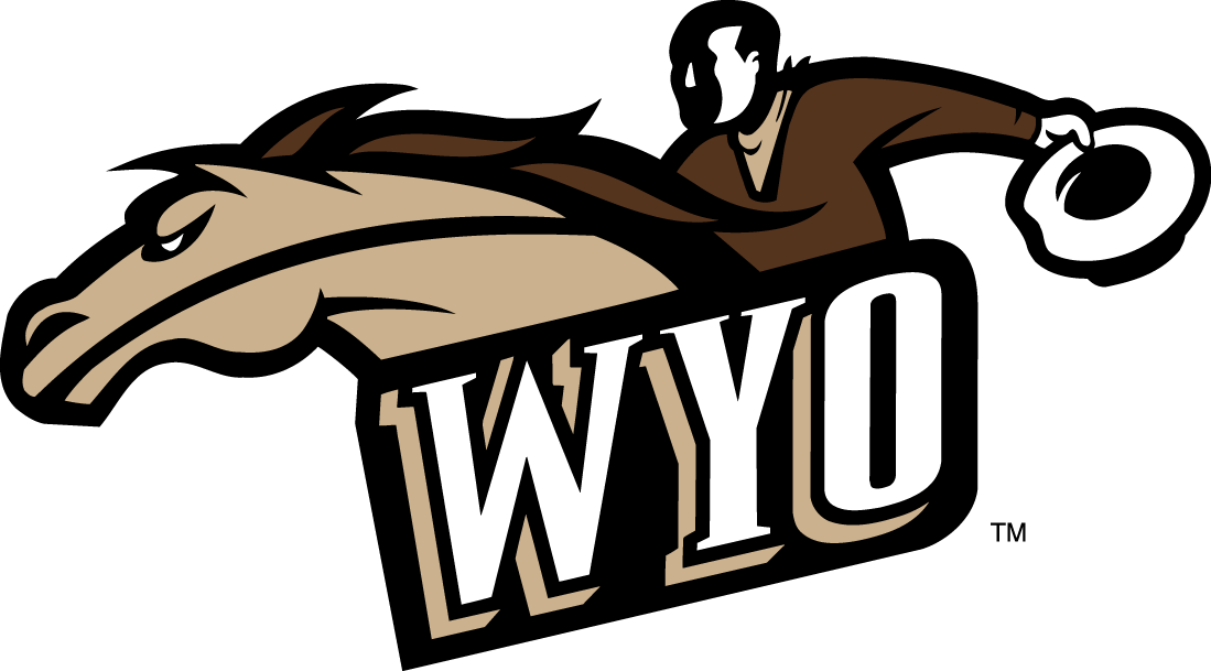 Wyoming Cowboys 1997-2006 Alternate Logo diy fabric transfer